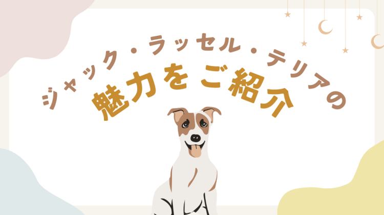 ジャック・ラッセル・テリアの魅力をご紹介